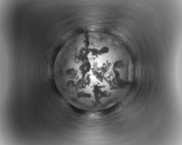 X0000088430569200706051232