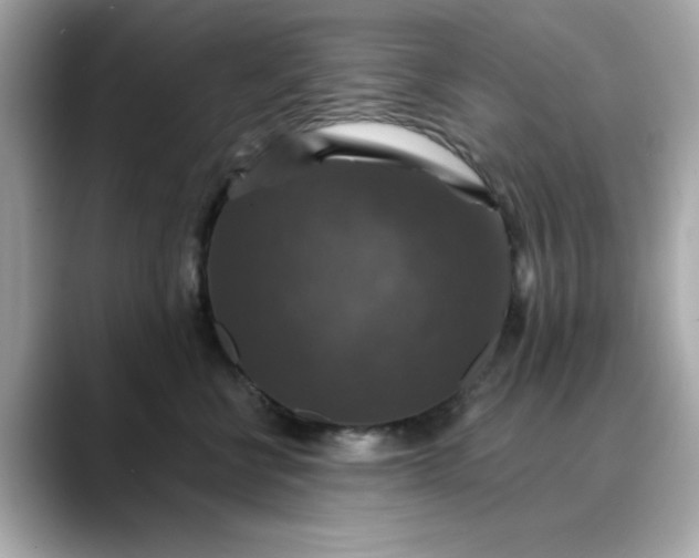 X0000088430570200706051232