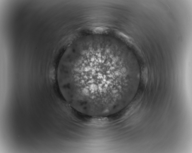 X0000088430571200706051232