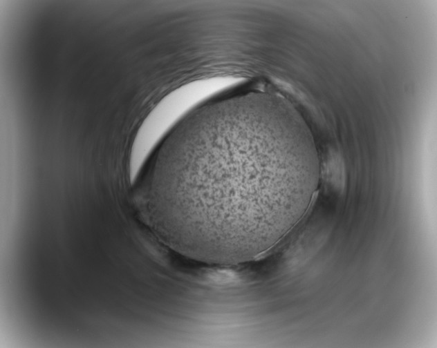 X0000088430572200706051232