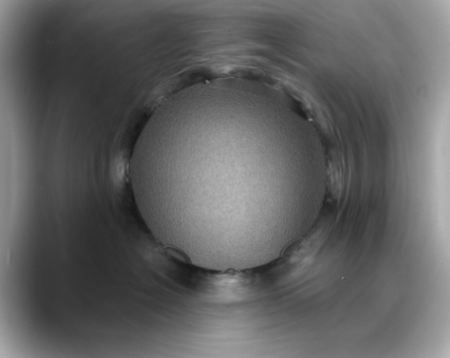 X0000088430574200706051232