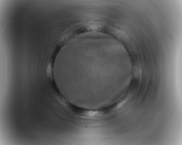 X0000088430575200706051232