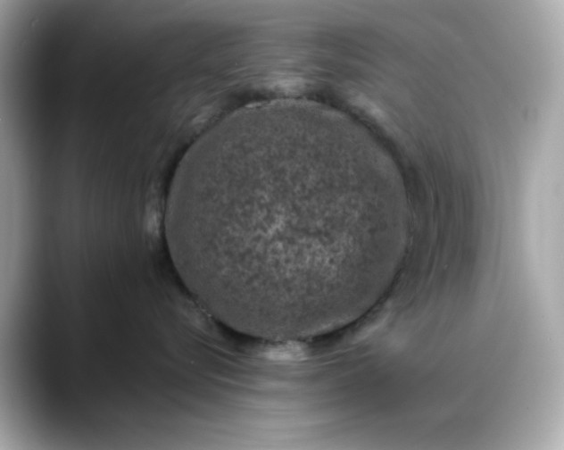 X0000088430576200706051232