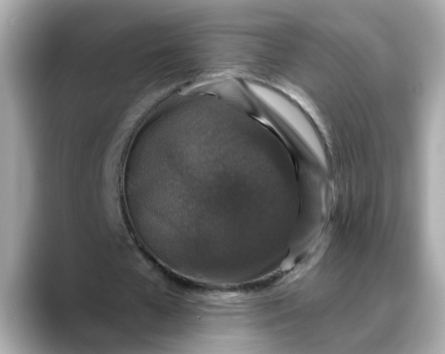 X0000088430577200706051232