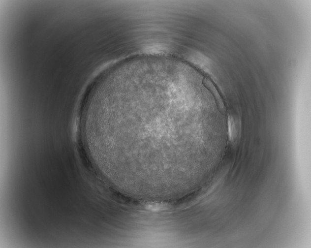 X0000088430579200706051231