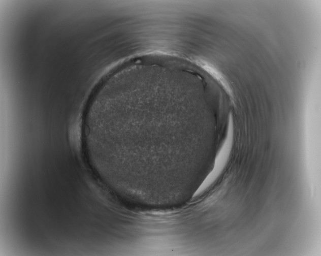 X0000088430580200706051231