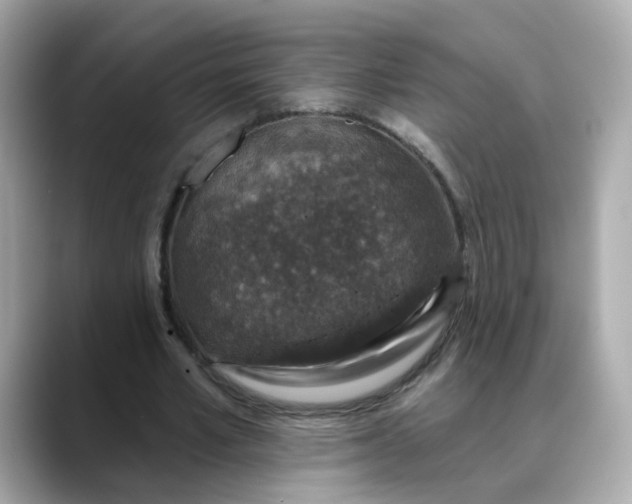 X0000088430581200706051231