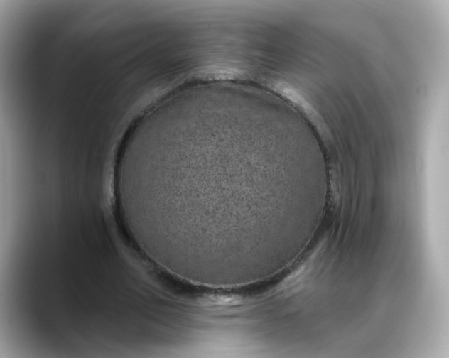 X0000088430582200706051231