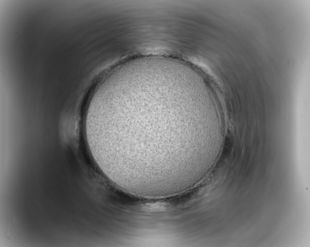 X0000088430583200706051231