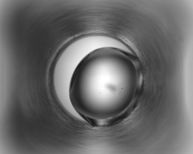 X0000088430584200706051231