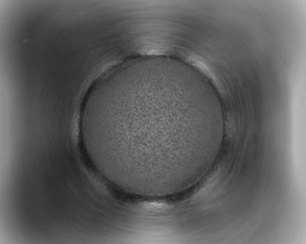 X0000088430586200706051231