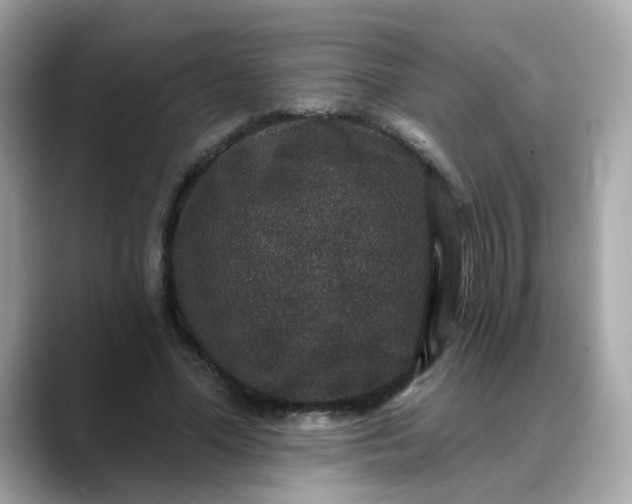 X0000088430588200706051231