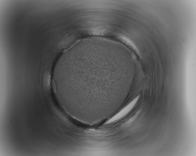 X0000088430589200706051231