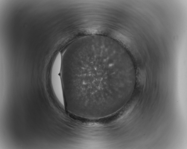 X0000088430590200706051231