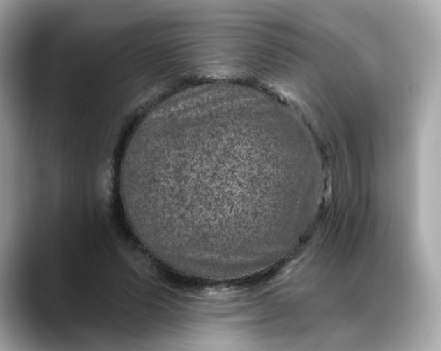 X0000088430591200706051231