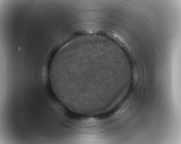 X0000088430594200706051231