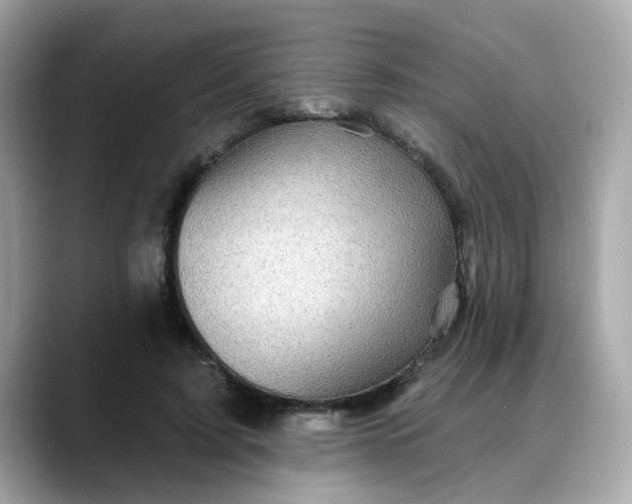 X0000088430595200706051231