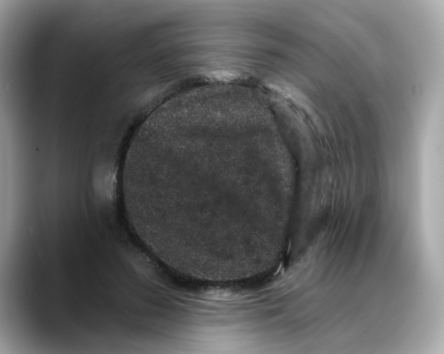 X0000088430596200706051231