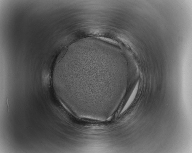 X0000088430597200706051231