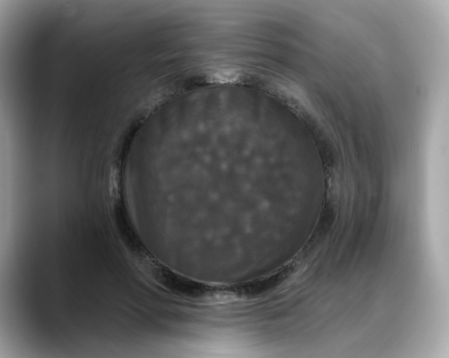 X0000088430598200706051231