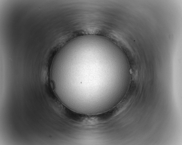 X0000088430599200706051231