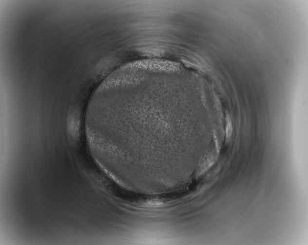 X0000088430600200706051231