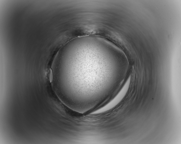 X0000088430601200706051231