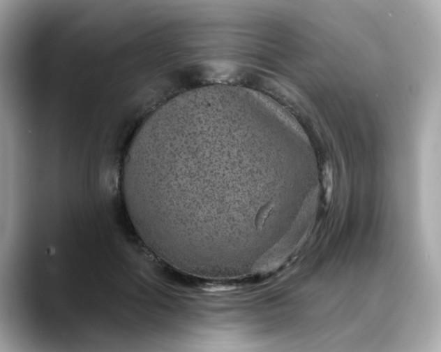 X0000088430602200706051231