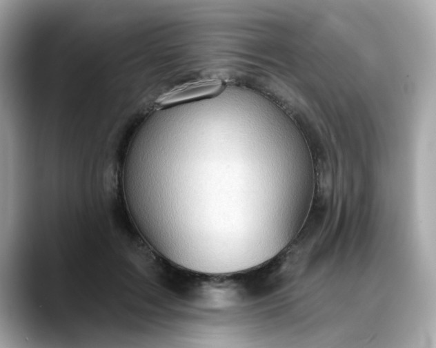 X0000088430603200706051231