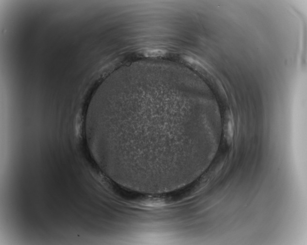 X0000088430604200706051231