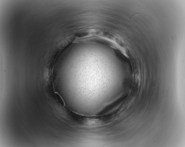 X0000088430605200706051231