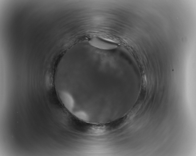 X0000088430606200706051231