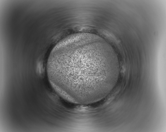 X0000088430607200706051231