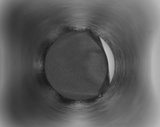 X0000088430608200706051231