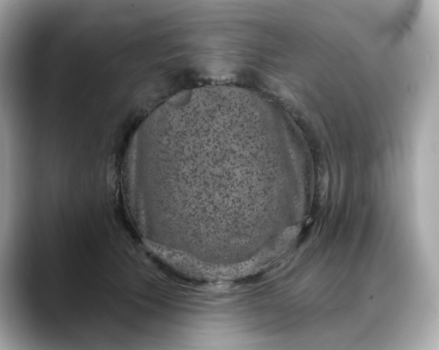 X0000088430609200706051231