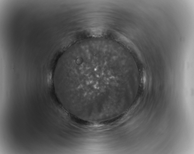 X0000088430610200706051231