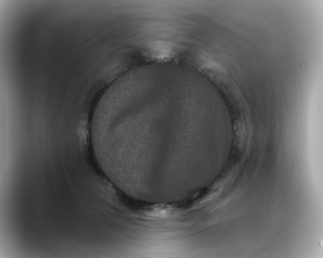 X0000088430612200706051231