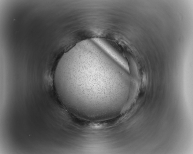 X0000088430613200706051231