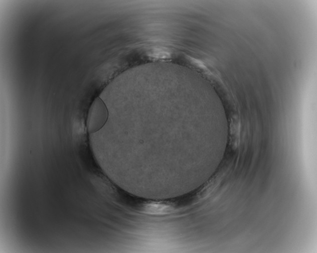 X0000088430614200706051231