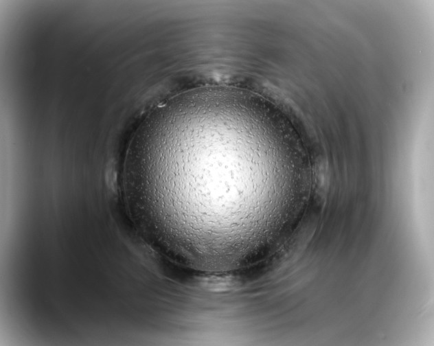 X0000088430615200706051231