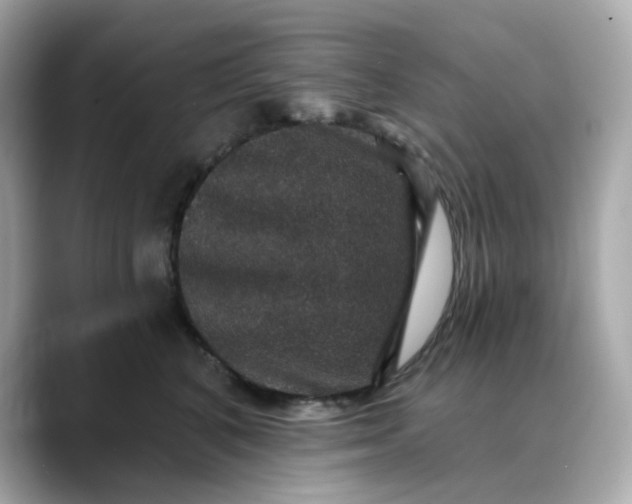 X0000088430616200706051231