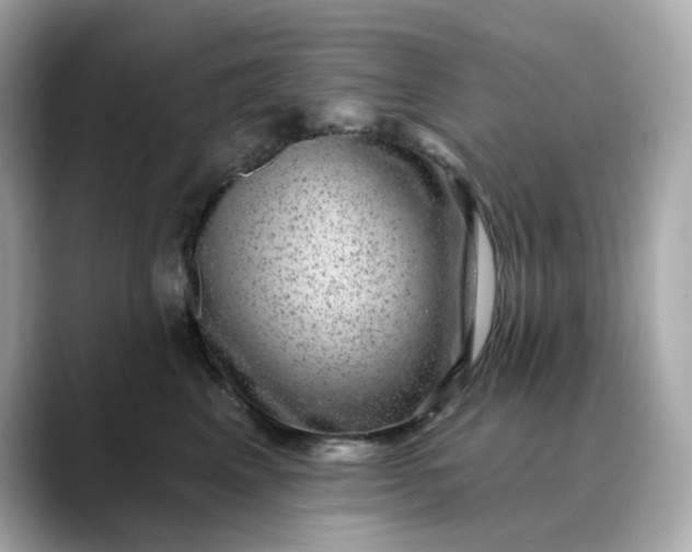 X0000088430617200706051231