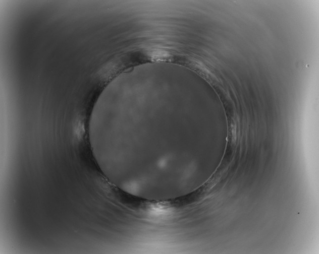 X0000088430618200706051231