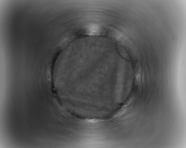 X0000088430620200706051231