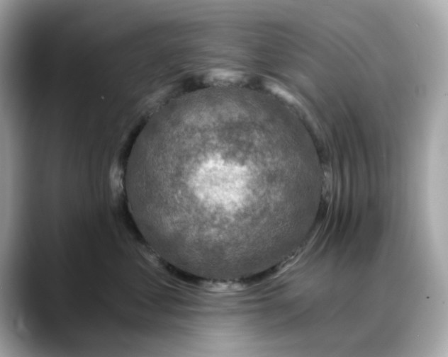 X0000088430621200706051231