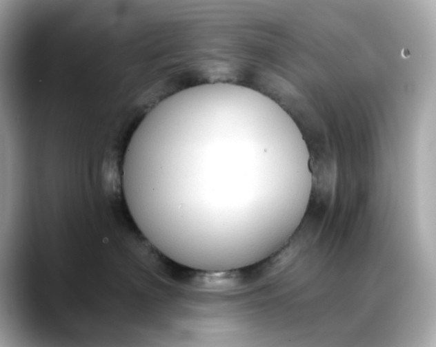 X0000088430622200706051231