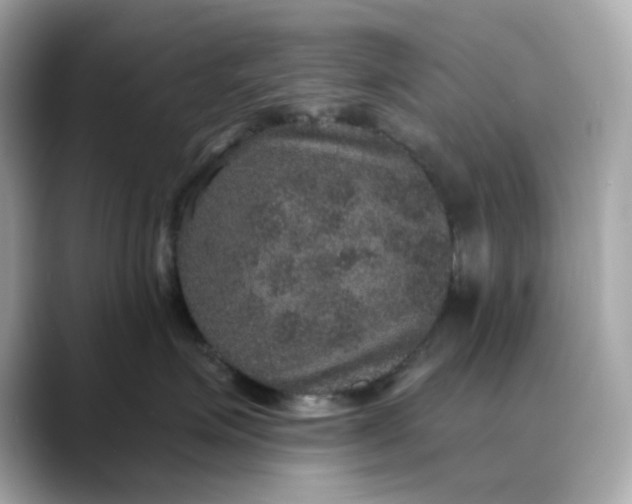 X0000088430623200706051231