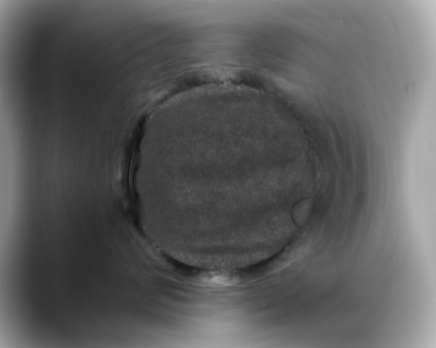 X0000088430624200706051231