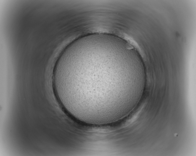 X0000088430625200706051230