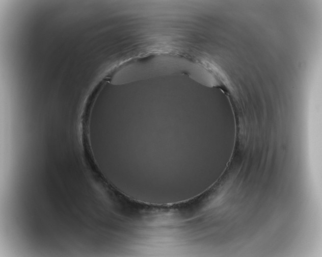 X0000088430626200706051230